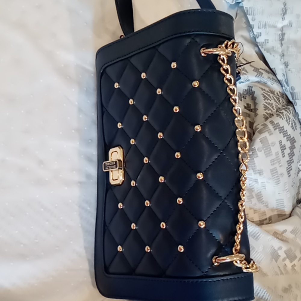 badgley mischka bag